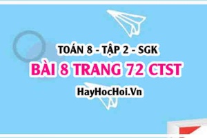 Bài 8 trang 72 Toán 8 Tập 2 Chân trời sáng tạo